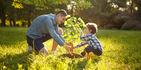 Installing solar panels can reduce your carbon footprint.